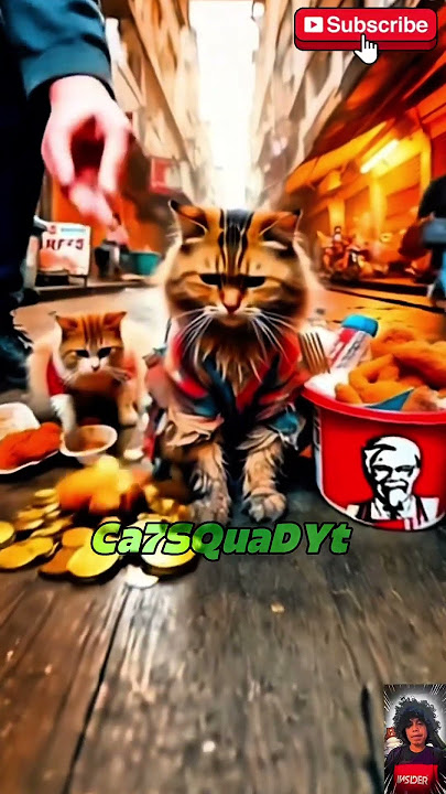 😻💕 nyam nyam 😲 💕😻| good person! #shorts #cat #Ca7SQuaDYt