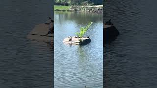 Wanted to share my trip to the Overland Park Arboretum🤩🌺🌸