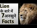 7 अनसुने Facts about Lion l 7 Unknown Facts about Lion l The Parikshit