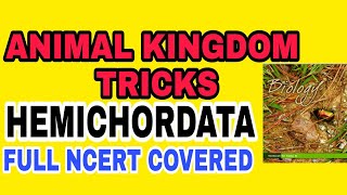 NEET/AIIMS 2019 ANIMAL KINGDOM TRICKS Lecture 11 Hemichordata Full NCERT based Hemichordata