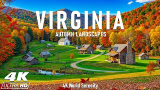 Autumn in Virginia 4K 🍁 Blue Ridge Mountains, Skyline Drive &amp; Golden Forests glowing in Fall Light