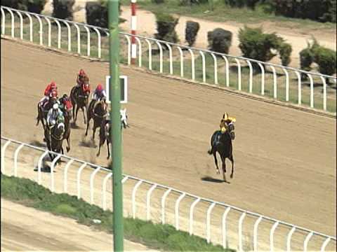 Vidéo de la course PMU PREMIO JAVIERA CARRERA