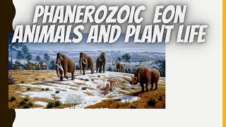 Phanerozoic - Animals and Plant Life