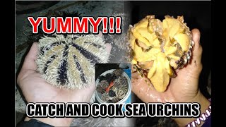 CATCH AND COOK Spiny Sea Urchin!!! (MARATANGTANG)