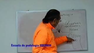 Podologia Profesional