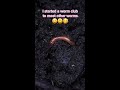 Finally, a place for worms 😊 🐛 #shy #newfriends #worms #chicago #welcome
