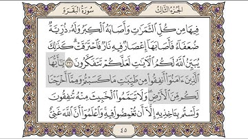 القرآن الكريم الصفحة (45) للشيخ محمد أيوب رحمه الله