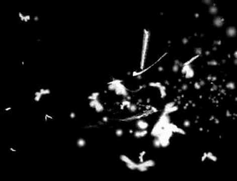 built with processing 01