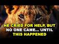 This Baby Lion Was Rejected by Its Pride… What Happened Next Is Unbelievable