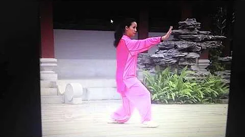 Yang Style Tai Chi Wei Duan Level 1 Form