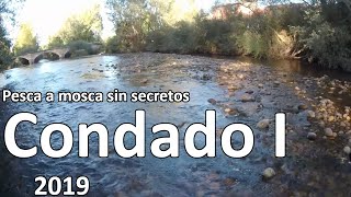 🎣 Pesca a mosca sin secretos Condado I 2019 🐟