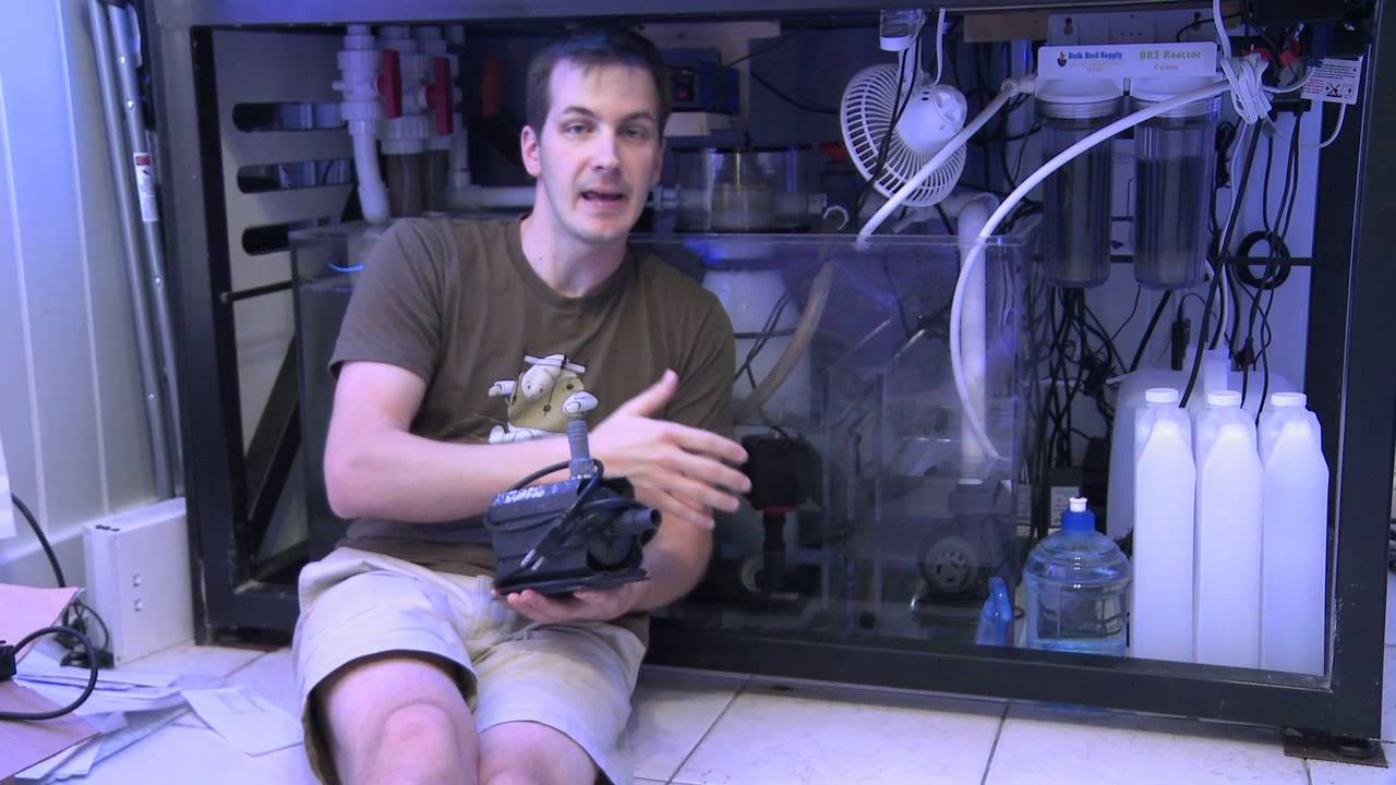 how to videos on tiktok Mr. Saltwater Tank TV Friday Am Quick Tip #85: Have 2 of These You'll Rest Easier