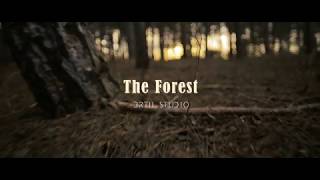 The Forest - short film - Zhiyun WEEBILL S Gimbal test