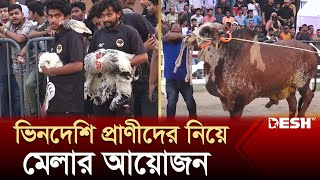 প্রাণিসম্পদ সেবা সপ্তাহ ও প্রদর্শনী মেলায় ৪০০ স্টল | BD Animal Fair | Livestock News | Desh TV