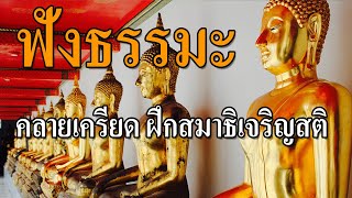 ฟังธรรมะคลายเครียด ฝึกสมาธิเจริญสติ สลายความเครียด เครียดจากการทำงาน แก้จิตฟุ้งซ่าน หดหู่ ซึมเศร้า