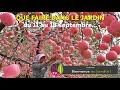 22 que faire dans votre jardin du 11 au 18 septembre  les conseils pratiques de patrick et roland