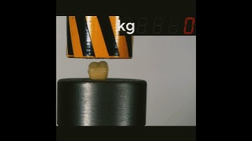 hydraulic press vs human teeth🤕| நம்முடைய பல் இவலோ வலிமையணதா?😨 | #shorts #tamil #hydraulic #teeth