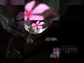 オーマイロビン！ / GUMI - ナナホシ管弦楽団　#vocaloid #ボカロ #ナナホシ管弦楽団