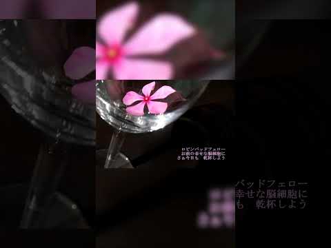 オーマイロビン！ / GUMI - ナナホシ管弦楽団　#vocaloid #ボカロ #ナナホシ管弦楽団