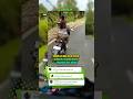 Viral Gadis Cantik abg ini rela nggk nyalip #cewekviral #viralvideo #viral #vidio #viralshorts #feed