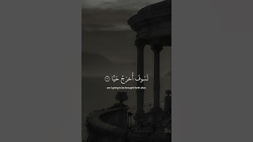 استغفر الله الذي لا إله إلا هو الحي القيوم وأتوب أليه #عبدالرحمن_مسعد #سورة_مريم #راحة_نفسية #quran