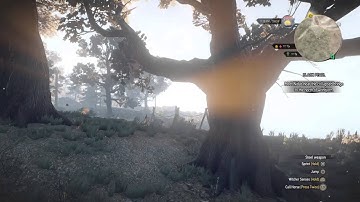 The Witcher 3: Wild Hunt first person [glitch]