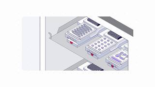 Organ-on-Chip Studies Workflow (6/6) Set Up Protocol for PhysioMimix T1 from CN Bio