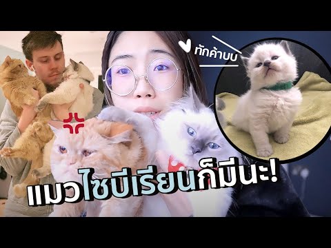 เซอไพรซ์สมาชิกใหม่!! ได้ลูกชายจ้าาา | #สตีเฟ่นโอปป้า