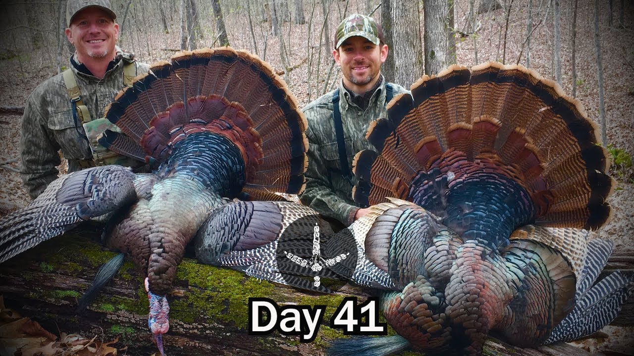 REAL TURKEY HUNTING_ KENTUCKY PUBLIC LAND_ DO IT YOURSELF HUNT Pinhoti