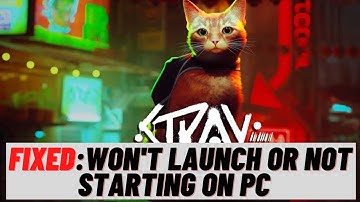 How to Fix  Stray Won’t Launch or Not Starting on PC
