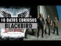 10 DATOS CURIOSOS | Alter Bridge - Blackbird