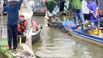 Toen de vissers het drijvende huis ontdekten, vertrokken ze meteen. REUZENVIS-ETEND CONGRES - Mek...