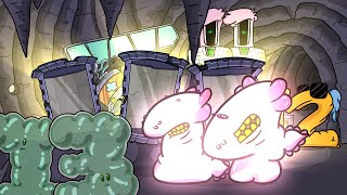 14 Number Lore Gets Bigger With 11, 12, 13