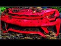 LAMBORGHINI VENENO Abandoned Vehicle Restoration (Children's Electric Scooter) | Rebuild broken car