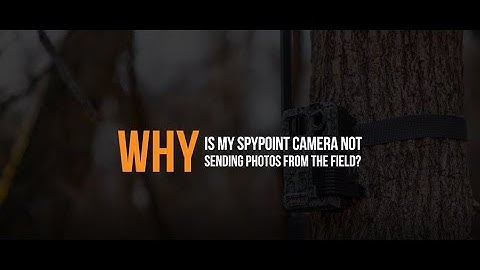 Why is my SPYPOINT Camera Not Sending Photos From the Field | SPYPOINT
