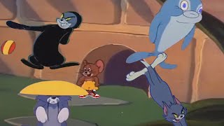 (YTP) Tom and Jerry's Sus Escapades