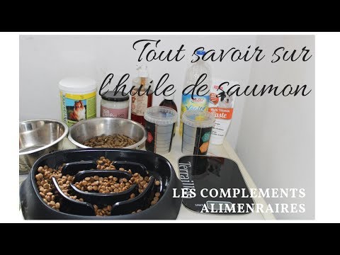 Tout savoir sur l&rsquo;huile de saumon / Compléments alimentaires