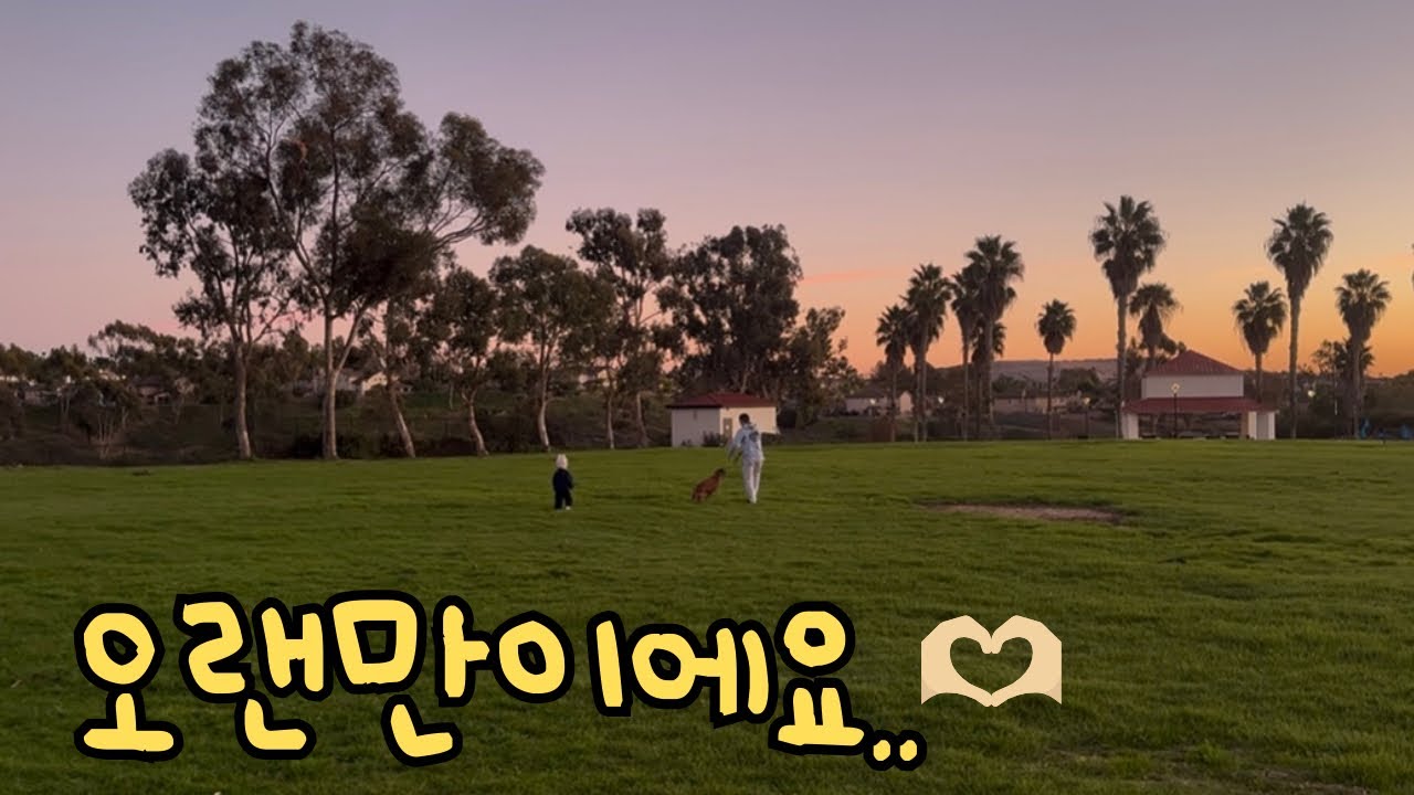 오랜만에 돌아온 지지키키네 미국 일상🇺🇸| 이사 후 | 집 근처 공원 산책 | 잔디 공사 | 