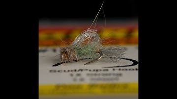 Iris Caddis Emerger