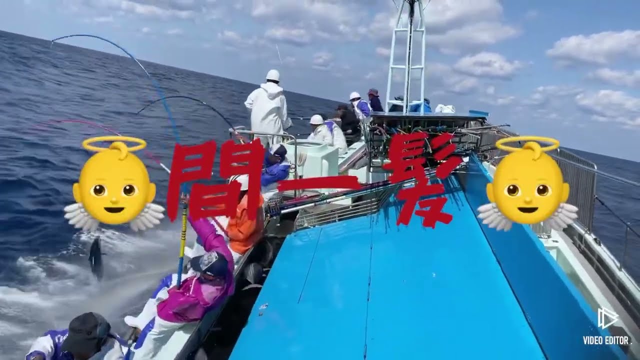 第11幸丸　鰹船　鰹一本釣り　15Kg特々大鰹