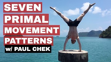 Seven Primal (Use These to Create Workouts) Movement Patterns w/ Paul Chek
