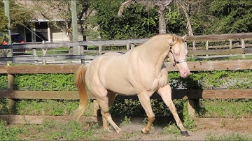 Ultimate Acres FarmCam 12/6/2025 AM