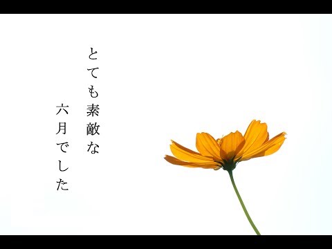 【もう一度私の写真で】とても素敵な六月でした【MVを作ってみたかった】