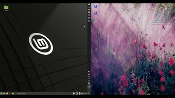 Linux Mint 21 vs MX Linux 21