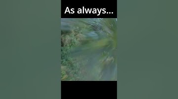 Again and again...  #fail #failarmy #fpv #fpvdrone #freestyle #dji #shortsviral #shortsfeed #shorts