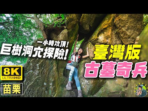 九天玄女住的仙山！你沒聽過～苗栗CP值最高的小百岳⛰️登山新手、高手都推薦！簡單攻頂花開滿山 超美三角點～ | 8K 苗栗旅遊