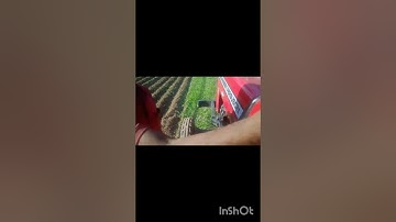 SarvaShakthi Rotavator company ridger Rotavator working performance video #sarvashakthi #Rotavator