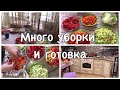 Много уборки и готовка . ОЧЕНЬ ВКУСНЫЕ МЕШОЧКИ ОВОЩНЫЕ.