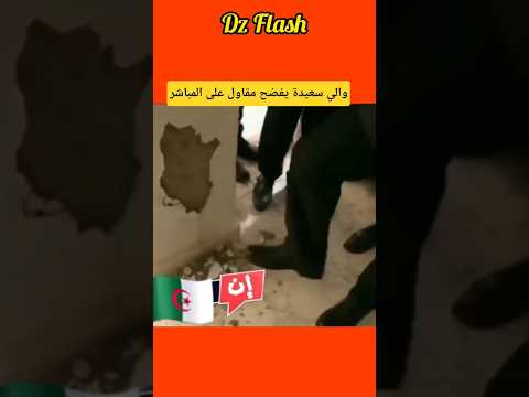 يا لطيف والي سعيدة يكتشف الغ ش الجزائر ترند تيك توك اكسبلور تبون كارولين ضحك اغاني المغرب