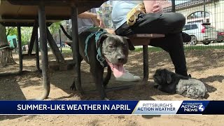 Summer-like weather arrives in Pittsburgh in April